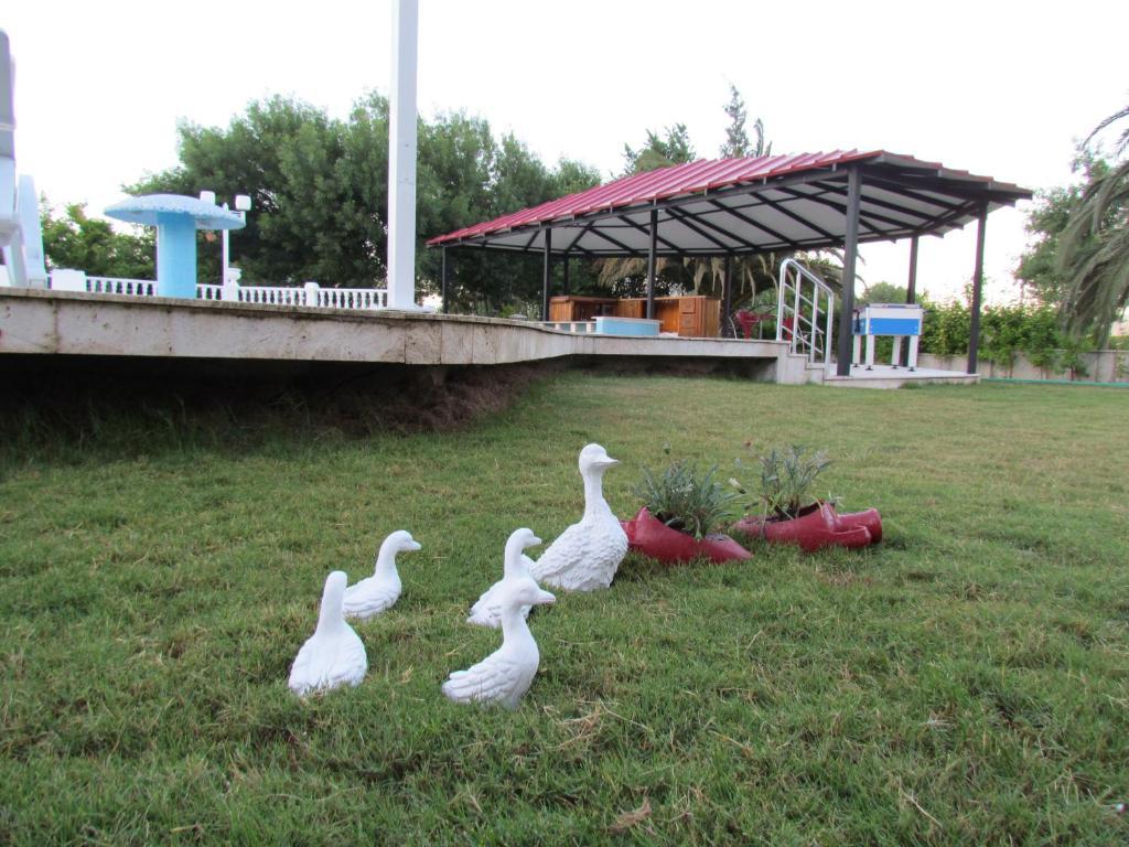 Dalyan Palmiye Resort Hotel Екстер'єр фото