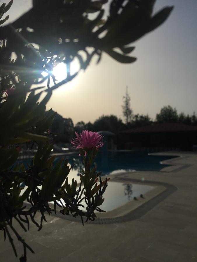 Dalyan Palmiye Resort Hotel Екстер'єр фото