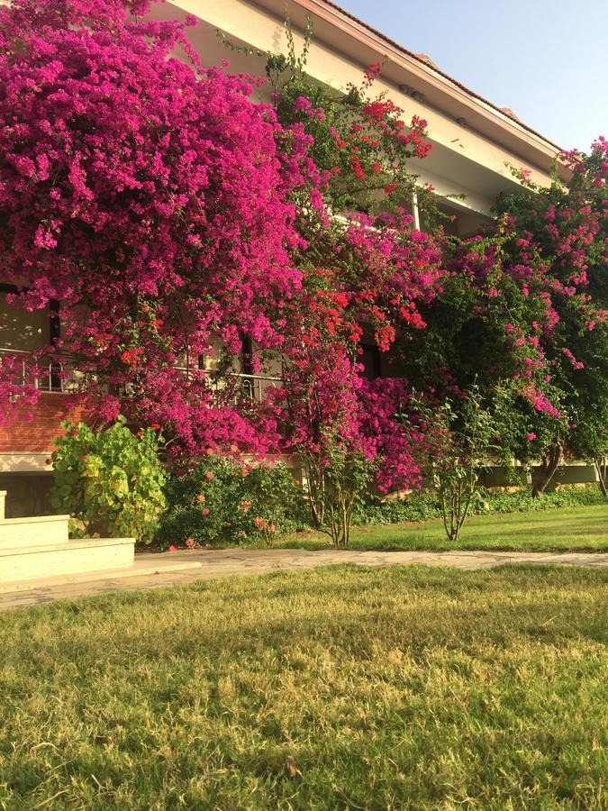 Dalyan Palmiye Resort Hotel Екстер'єр фото